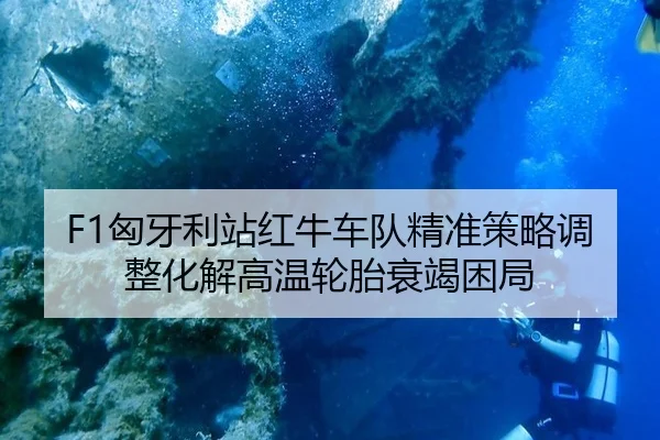 xiong-ya-li-zhan-hong-niu-che-dui-jing-zhun-ce-lve-tiao-zheng-hua-jie-gao-wen-lun-tai-shuai-jie-kun-ju-2-527.jpg